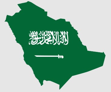 تجنيس ابناء المواطنات السعوديات