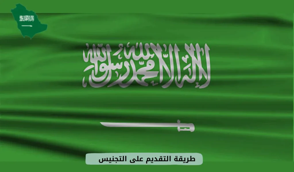 طريقة التقديم على التجنيس